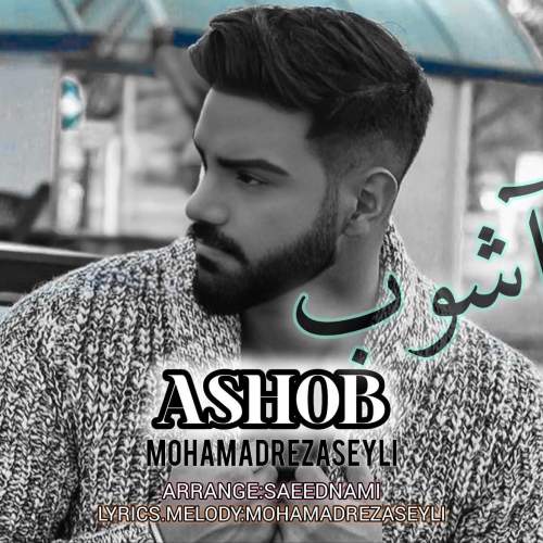 دانلود آهنگ محمدرضا سیلی آشوب 1 mohamadreza seyli ashob 2025 06 12 12 35