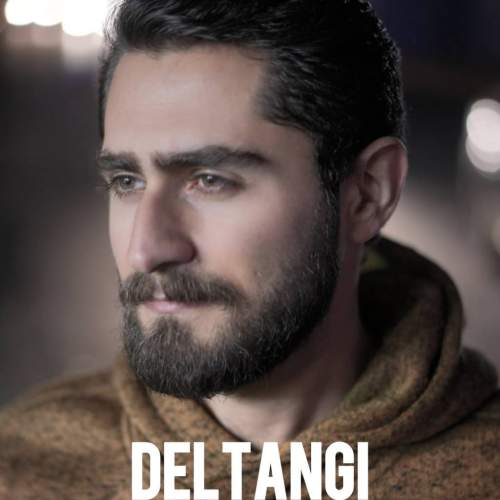 دانلود آهنگ سینا توسلی دلتنگی 1 sina tavasoli deltangi 2025 09 22 10 45