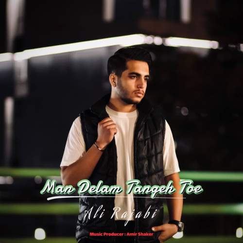 دانلود آهنگ علی رجبی من دلم تنگ توئه 1 ali rajabi man delam tange toe 2025 10 14 23 40