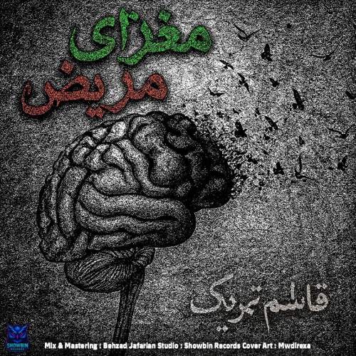 دانلود آهنگ قاسم تحریک مغزای مریض 1 ghasem tahrik maghzaye mariz 2025 11 19 13 42