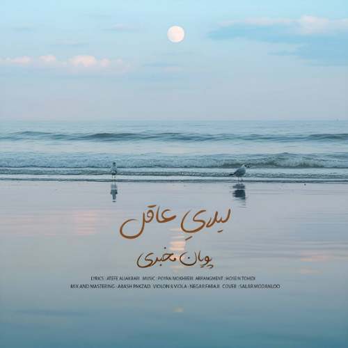دانلود آهنگ پویان مخبری لیلایِ عاقل 1 pouyan mokhberi leilaye aghel 2025 11 19 15 30