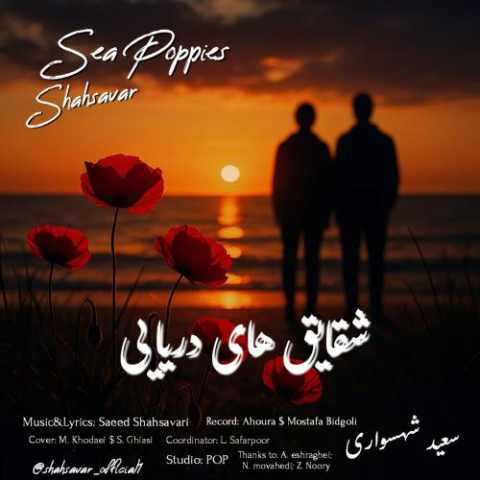 saeed shahsavari shahsavar sea poppies 2025 11 12 17 48