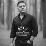 دانلود آهنگ شروین تبار دل به دل