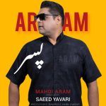 دانلود آهنگ مهدی آرام پسر دانلود آهنگ مهدی آرام پسر