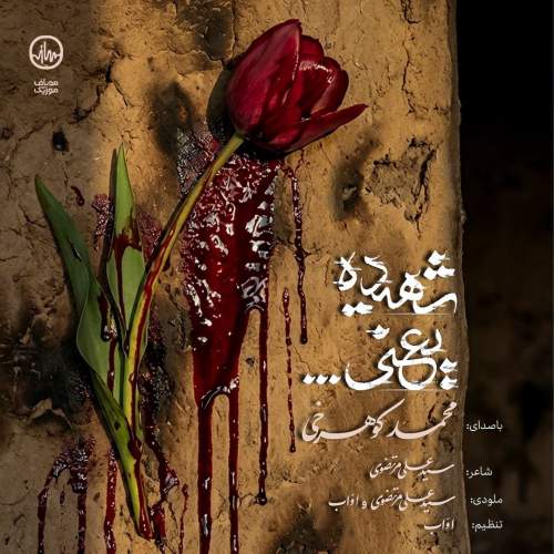 mohammad koohrokhi shahide yani 2025 12 28 17 35