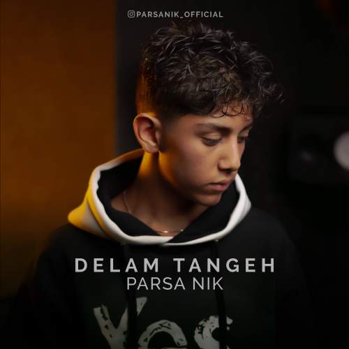 دانلود آهنگ پارسا نیک دلم تنگه 1 parsa nik delam tangeh 2025 12 03 14 30