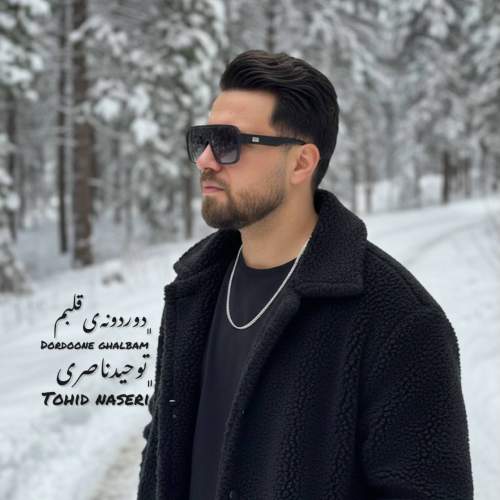 دانلود آهنگ توحید ناصری دوردونه ی قلبم 1 tohid naseri dordooneye ghalbam 2025 12 25 22 50