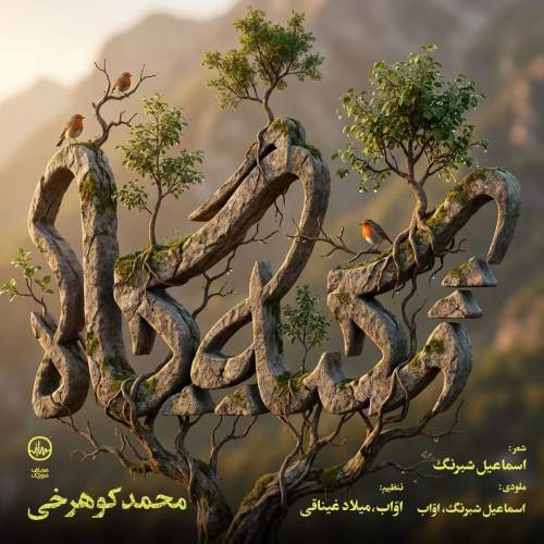 mohammad koohrokhi tekyegah 2026 01 04 11 45