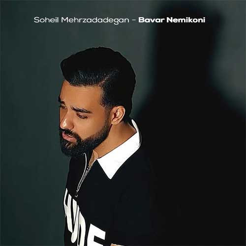 دانلود آهنگ سهیل مهرزادگان باور نمیکنی (دلی) 1 soheil mehrzadadegan bavar nemikoni 2026 05 13 15 54