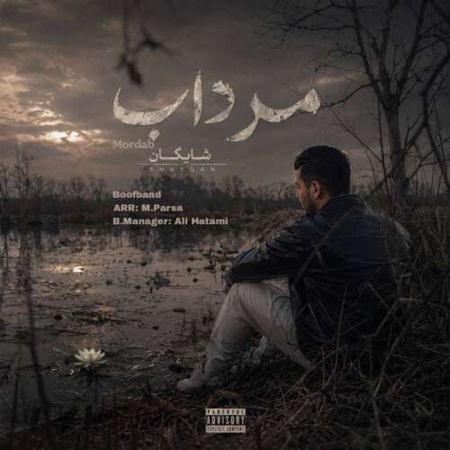 shaygan mordab 2026 06 10 17 07