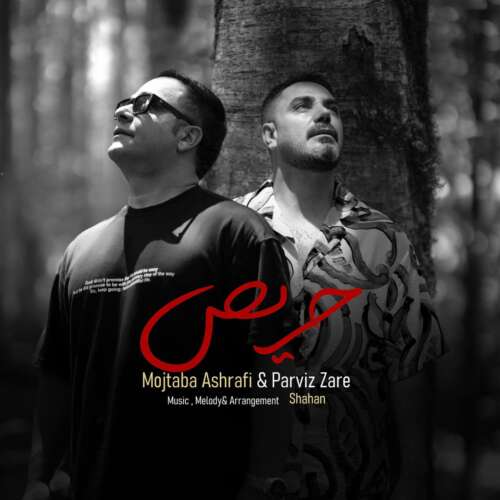 mojtaba ashrafi ft parviz zare haris 2026 07 11 14 02