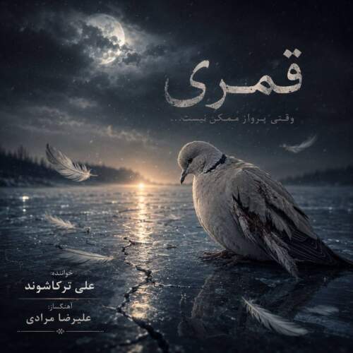 ali torkashvand ghomri 2026 09 01 11 22