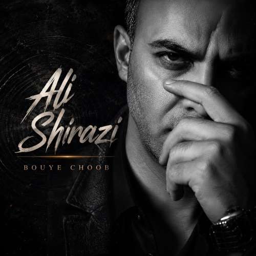ali shirazi bouye choob 2026 10 16 08 42