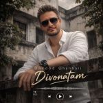 دانلود آهنگ داوود قنبری دیونتم