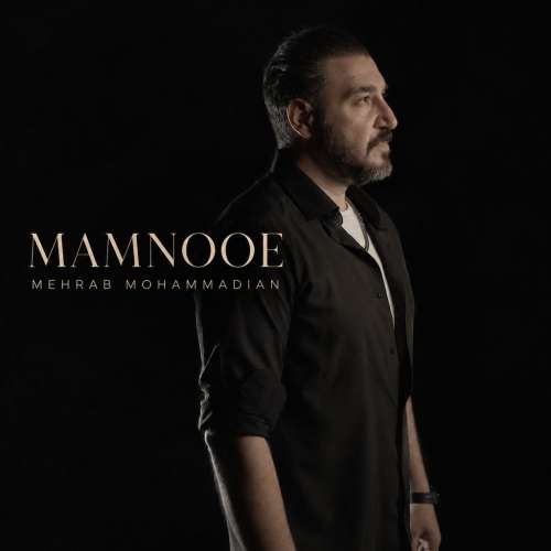 mehrab mohammadian mamnooe 2026 10 03 16 53